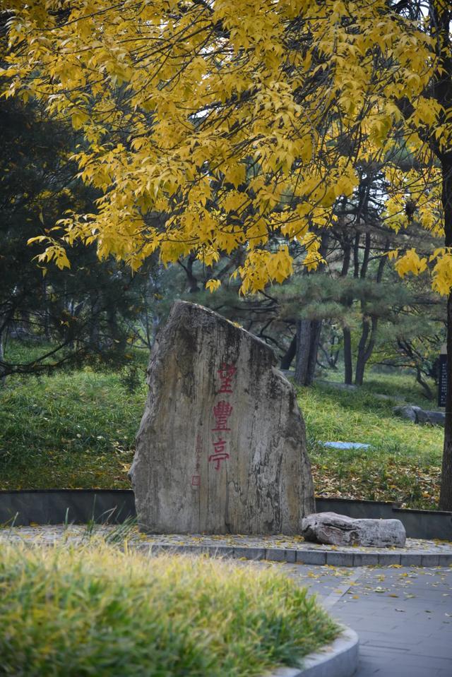 人在画中游!丰台花园秋色满园,错过再等一年,快来打卡~