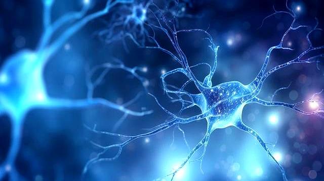 跑步能让人更健康？研究发现：你以为“运动万能论”，可能是错觉