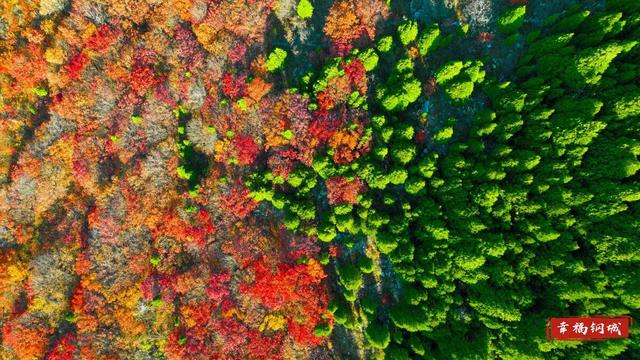 来九龙山，品尝咱钢城深秋的“鸳鸯火锅”