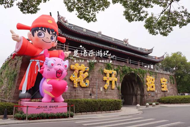 宁波镇海推出新的菊花展，5个赏菊地连成一条线，堪称史上最美