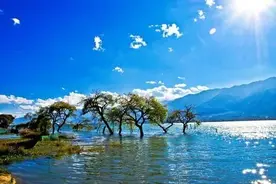 父母和子女断绝关系，有2种原因：图片