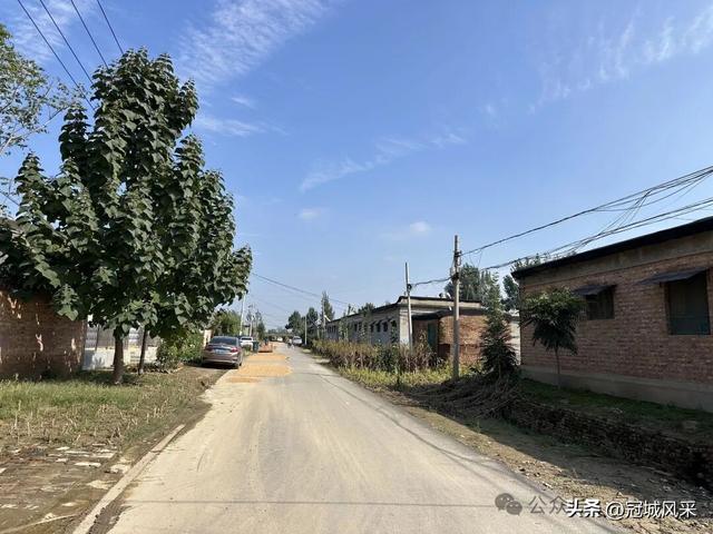 冠县乡韵·兰沃乡大柳邵村