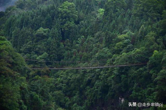 实话实说“大川”印象
