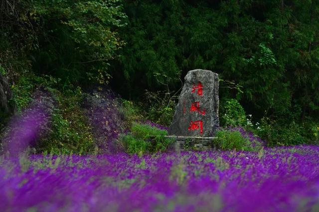 来广元月坝，解锁一场“多巴胺”初冬