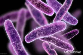 吃左氧氟沙星需要知道的6个问题图片