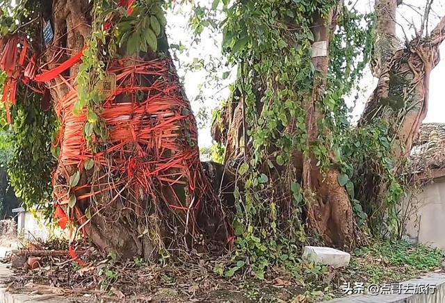成都被冷落的古场镇，停留在70年前，附近美食诱人被严重低估！
