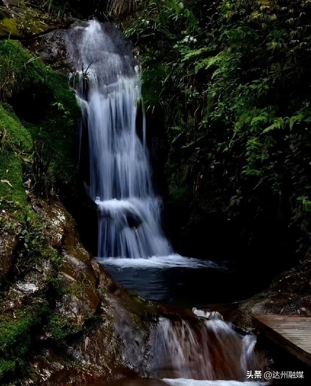 好一片“绿茶”！被达州大竹这片万亩茶海治愈了