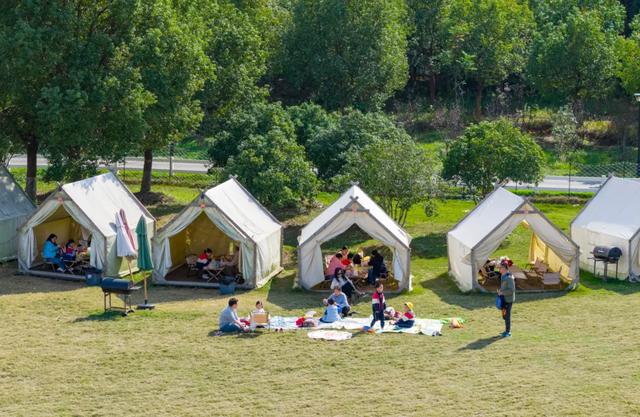稻 花 香 里 看 雨 花