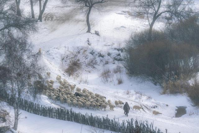 23点03分冬至，老话“早冬至，大雪堵门”，今冬偏冷吗？早了解