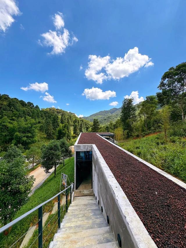 惠聚美好丨218最美旅游公路