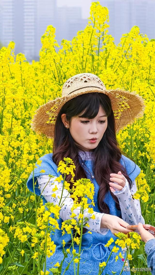 江心洲繁花似锦，油菜花海绘就春日油画