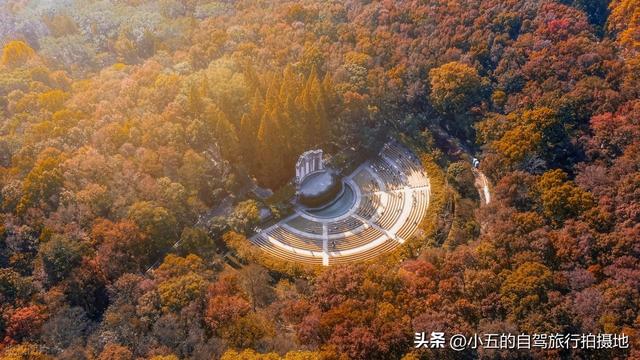 9 地秋日赏秋实测攻略！附最佳时间 + 落地玩法，收藏直接走