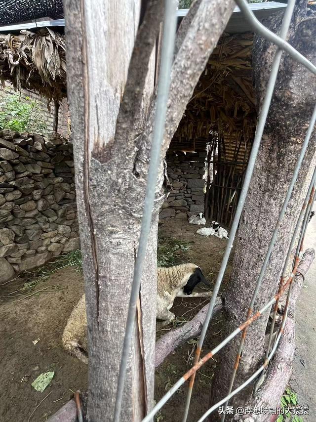章丘大山深处有一座始建于宋元时期的古庙宇：杓峪庵