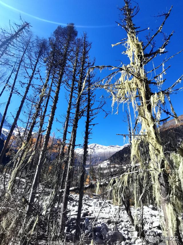 #阿坝头条#理小路，有人称之为川西的独库公路