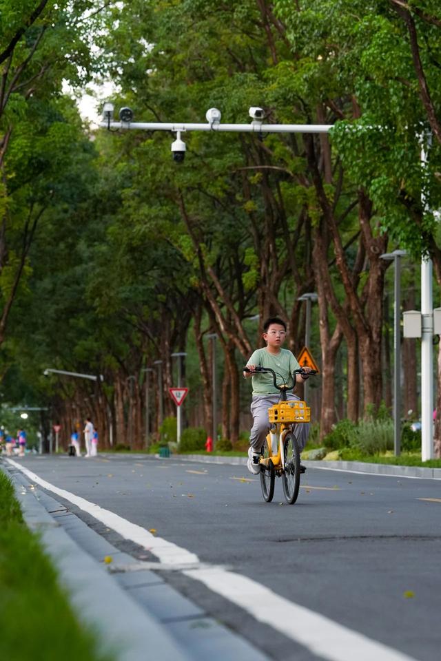 556米，玩一天！江汉这条林荫路越来越惊艳