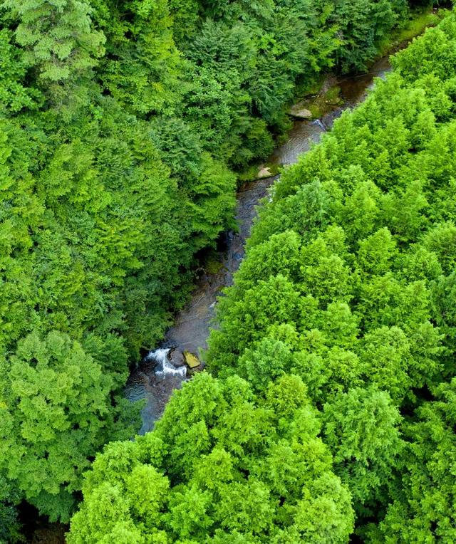汉中黎坪景区闭园公告