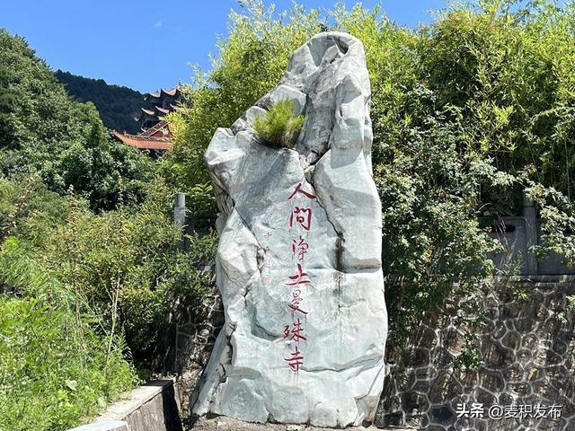 【多彩“双节” 畅游麦积】麦积区净土寺：净土松涛漫秋色 静谧禅境迎客来