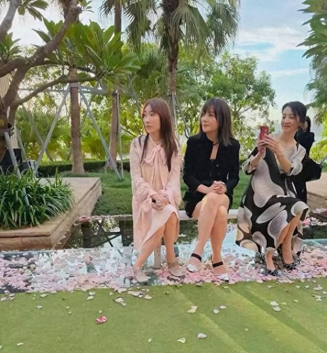 拔出萝卜带出泥！49岁赵薇近况被曝，原来圈内封杀只是冰山一角