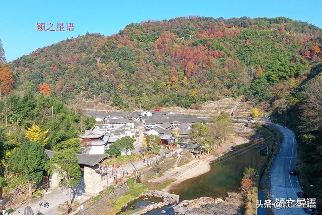 走过这条公路吗？宁波最美秋色路，又到绚烂时