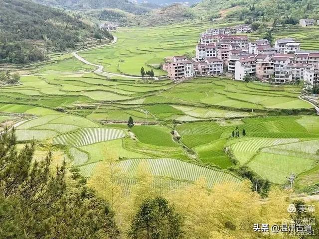 浙江隐藏一座“小黄山”，风光绝美还没门票，秋日徒步好去处！