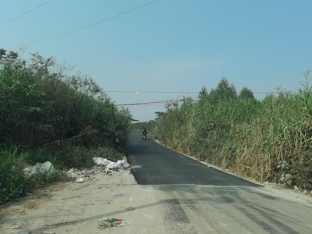 鲜花插在工业区，七坡花卉园周边环境堪忧