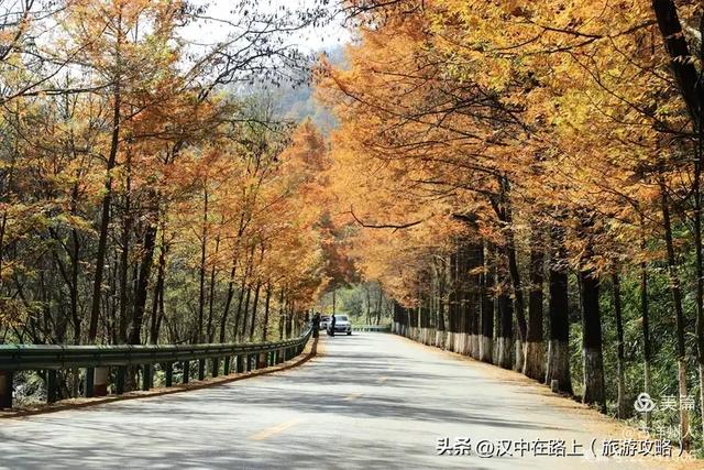 超出片！快来这里捕捉汉中秋色！