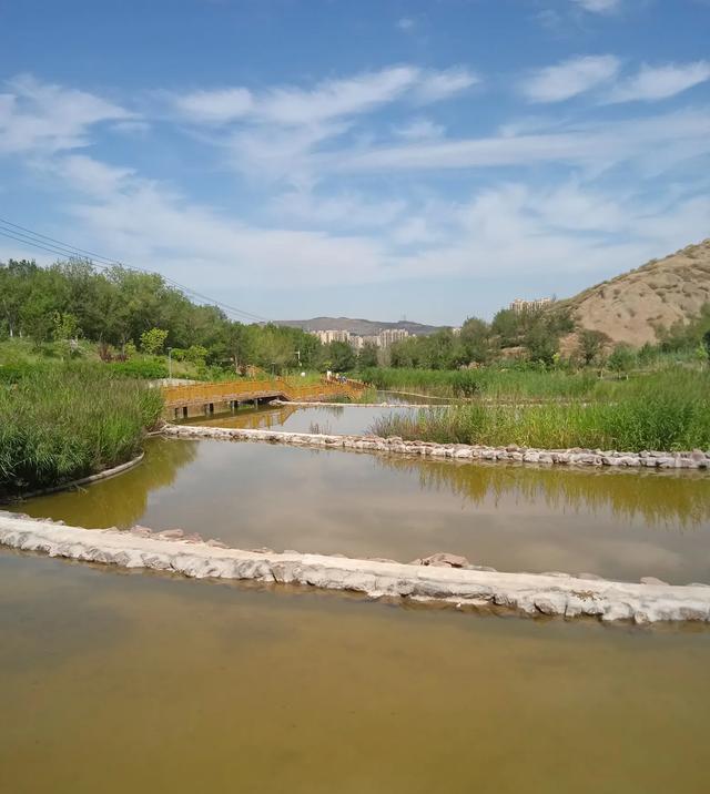 乌市雅山往西去有个水景公园,水面像梯田,还有花卉基地