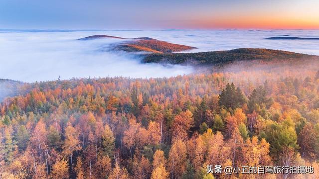 9 地秋日赏秋实测攻略！附最佳时间 + 落地玩法，收藏直接走