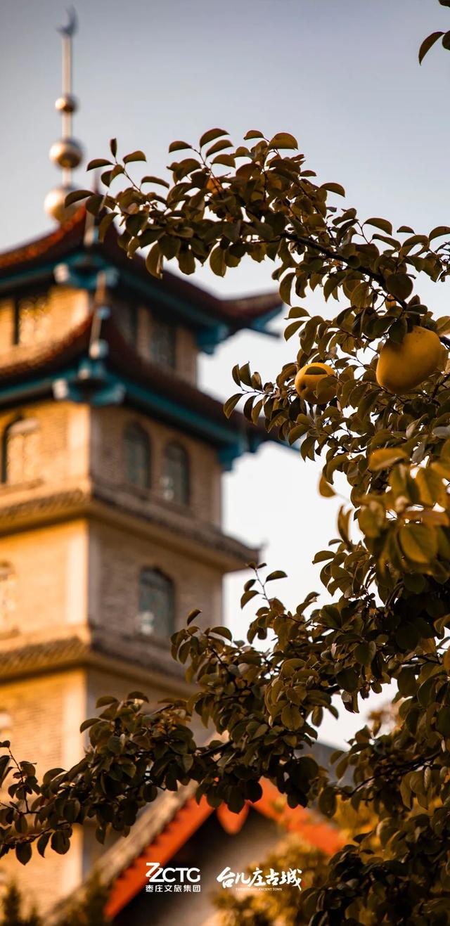 冬韵台儿庄，一键收藏古城的静谧时光