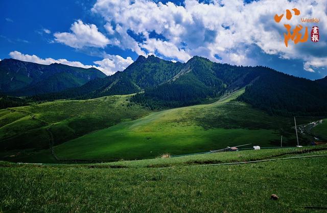 【小陇画报·406期】红石窝草原的秋 藏在高山上的诗意