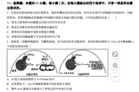 【生物】重庆市巴蜀中学2024高三下学期4月月考（八）试题及答案图片
