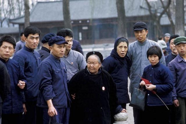 边牧撞碎100万玉镯，被主人暴打后卖到狗肉馆，3天后主人回家傻眼