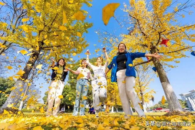 限时绝美!黄石街头颜值巅峰 周末来打卡