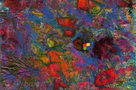 节气｜夏至二候·蝉始鸣——荷影蝉声意无穷图片