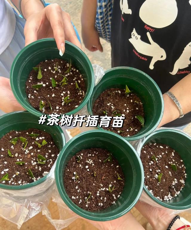 假期去露营！韶关8个露营“天花板”直接封神带你拥抱山野与自由