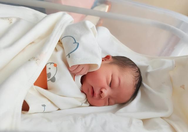 全国出生人口断崖：21年1062万人，24年954万，25年令人意想不到