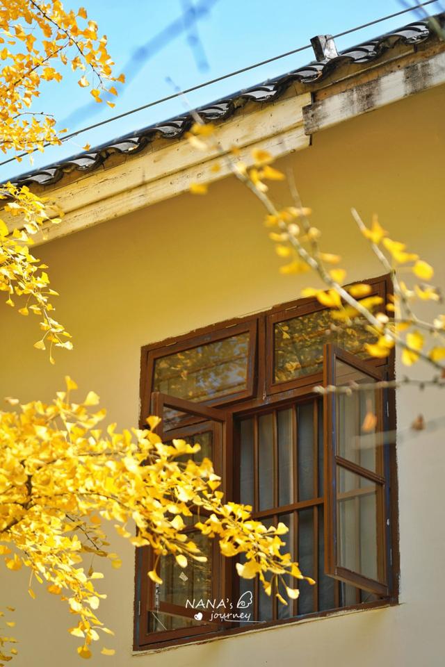 漫游韶关，赴一场山水间的秋日之约