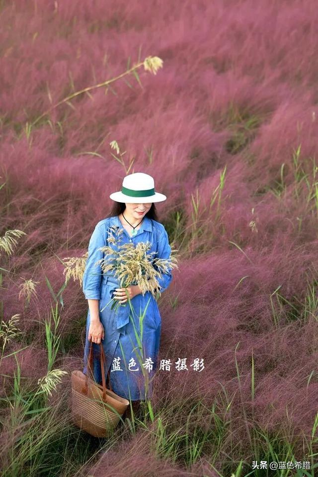 和秋日粉黛草合影，不露脸的照片，也可以很唯美，很浪漫