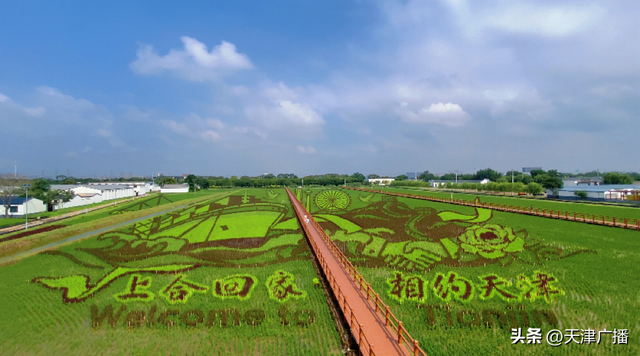 最新 | 取消！关闭！天津三大景区通告！