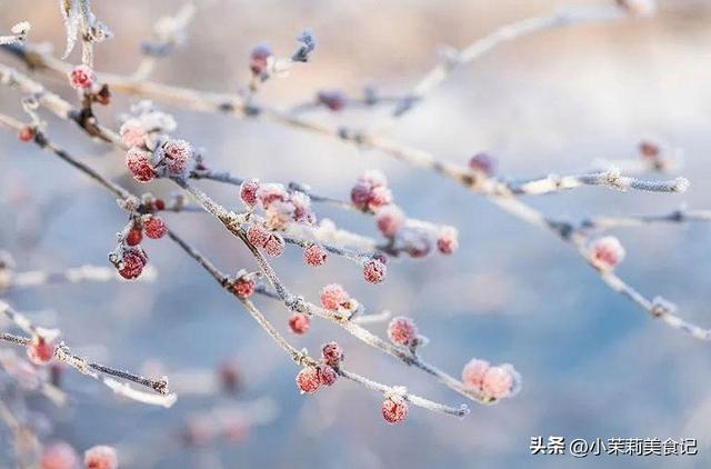 “上午立冬，风雪狂；下午立冬，冬不寒”，今年立冬在哪？早了解