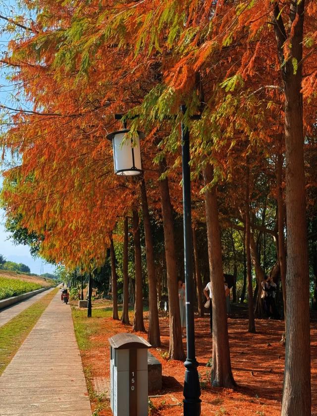 都说福州比南昌还要名气大，两地深度游后，才发现差距真的很大