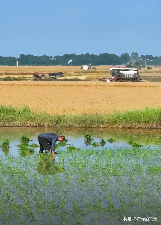 真信了!去了一趟信阳后,终于接受信阳不像是河南城市这话了!