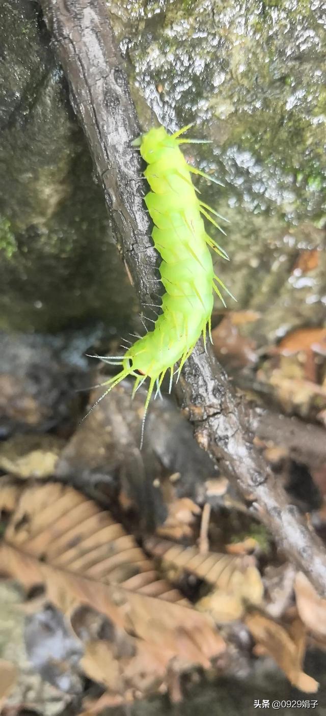 只见山水，不恋家