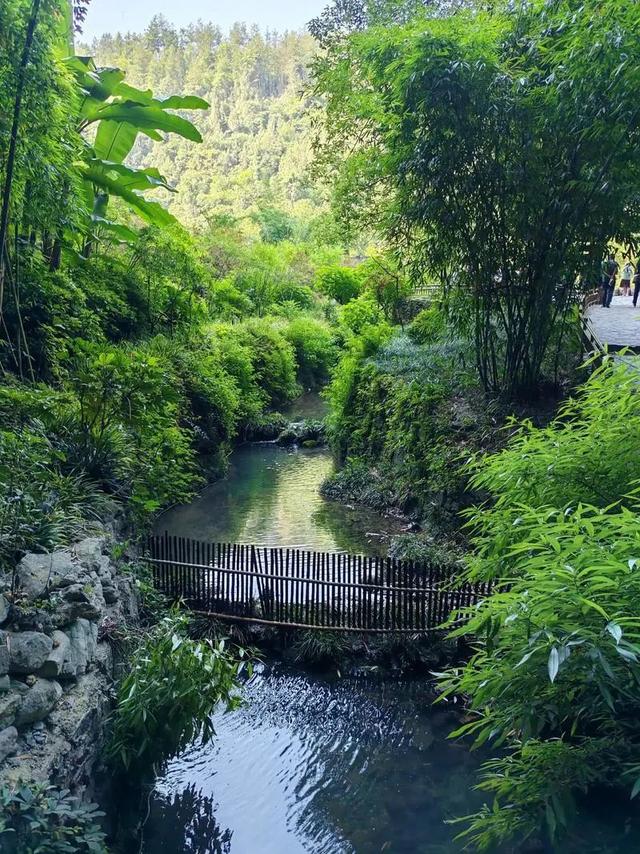 地理冷知识———重庆的5A景区