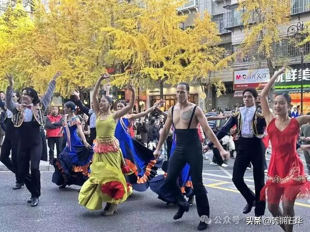 赏银杏、会海鸥，邂逅一场丰容的“昆明式暖冬”