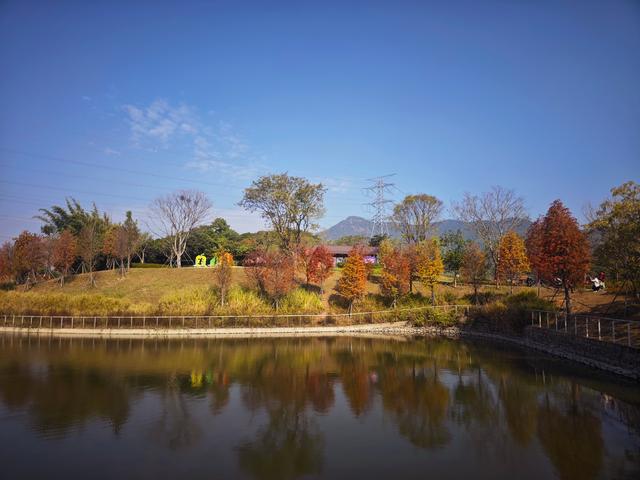 西丽湖绿道骑行随拍