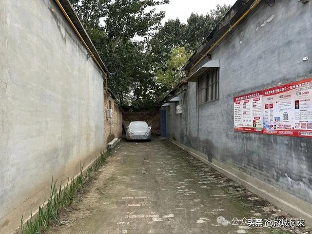 冠县乡韵·桑阿镇轧庄