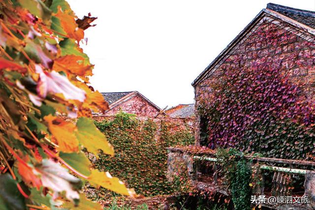 立冬！嵊泗冬日山海要C位出道啦！每一帧都令人心动。