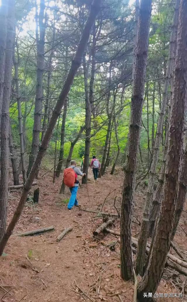 9）山西陵川三载后再赴南太行：18人战暑踏秘境，一程山水一程情