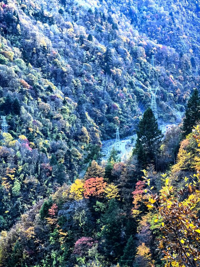 视觉盛宴，闯进川西最狂野的彩色世界黑水县八十里画廊